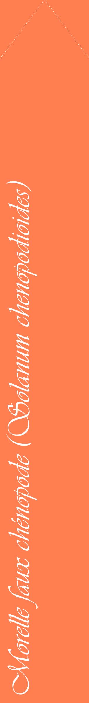Étiquette de : Solanum chenopodioides - format c - style blanche24_simpleviv avec comestibilité