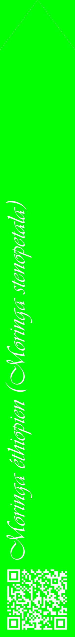 Étiquette de : Moringa stenopetala - format c - style blanche16_simpleviv avec qrcode et comestibilité