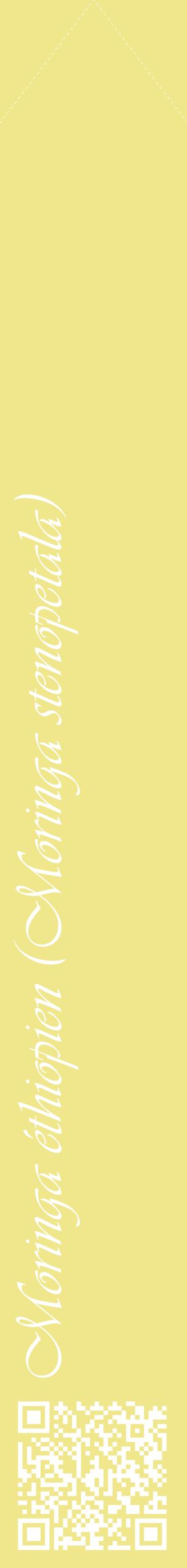 Étiquette de : Moringa stenopetala - format c - style blanche20_simpleviv avec qrcode et comestibilité