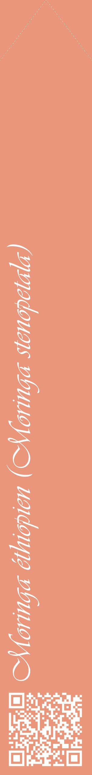 Étiquette de : Moringa stenopetala - format c - style blanche37_simpleviv avec qrcode et comestibilité