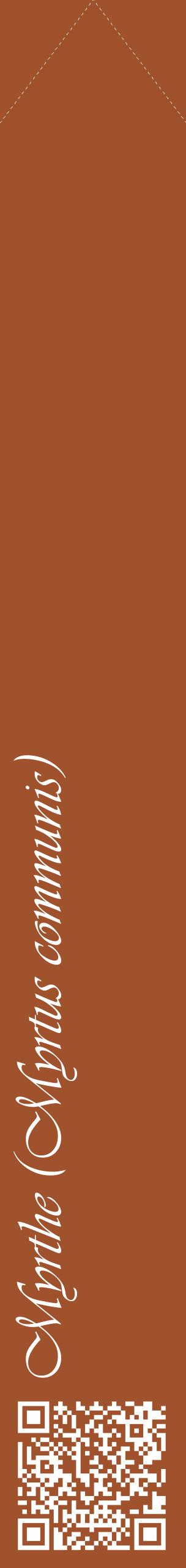 Étiquette de : Myrtus communis - format c - style blanche32_simpleviv avec qrcode et comestibilité