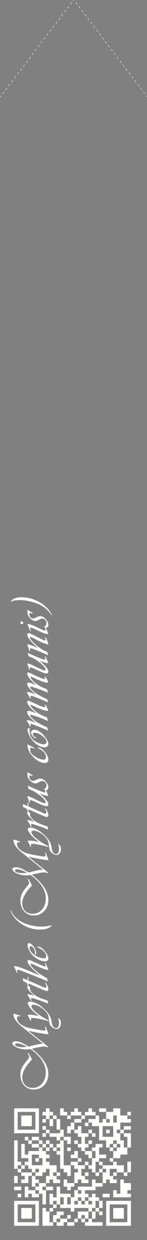 Étiquette de : Myrtus communis - format c - style blanche57_simpleviv avec qrcode et comestibilité