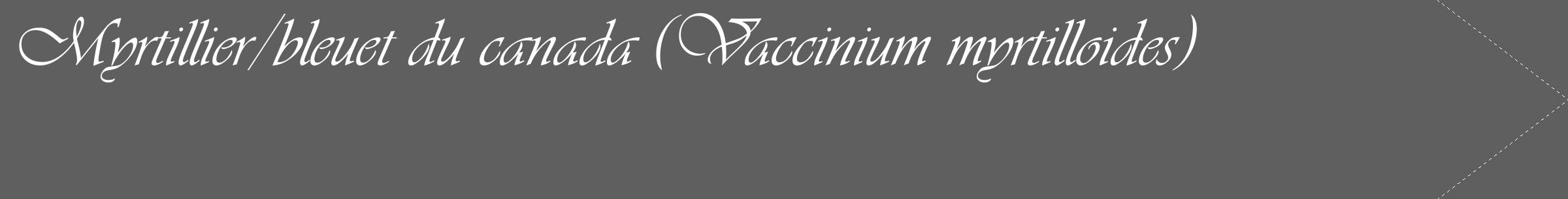 Étiquette de : Vaccinium myrtilloides - format c - style blanche10_simple_simpleviv avec comestibilité