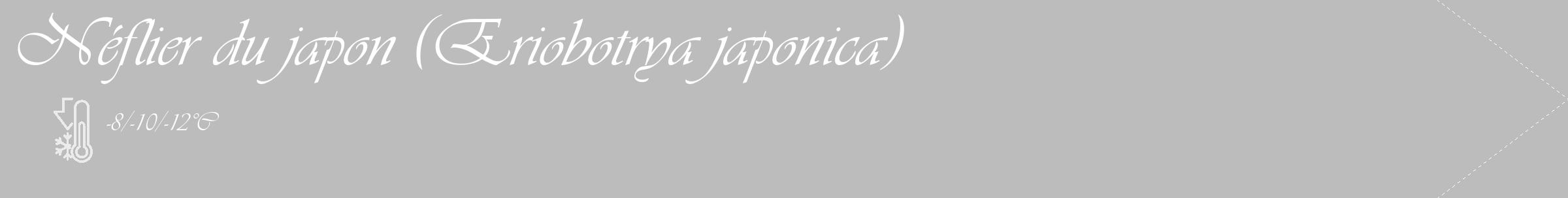 Étiquette de : Eriobotrya japonica - format c - style blanche1_simple_simpleviv avec comestibilité