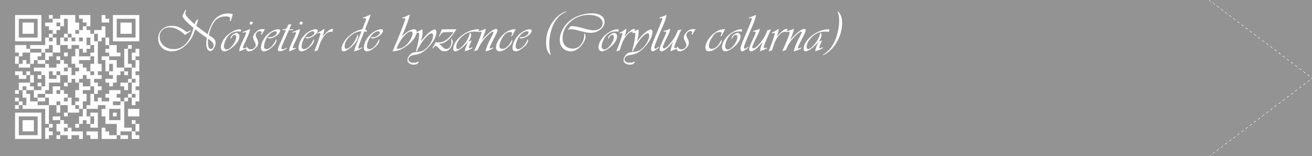 Étiquette de : Corylus colurna - format c - style blanche44_simple_simpleviv avec qrcode et comestibilité