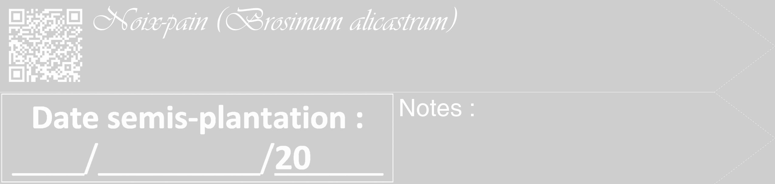 Étiquette de : Brosimum alicastrum - format c - style blanche17_simple_simpleviv avec qrcode et comestibilité