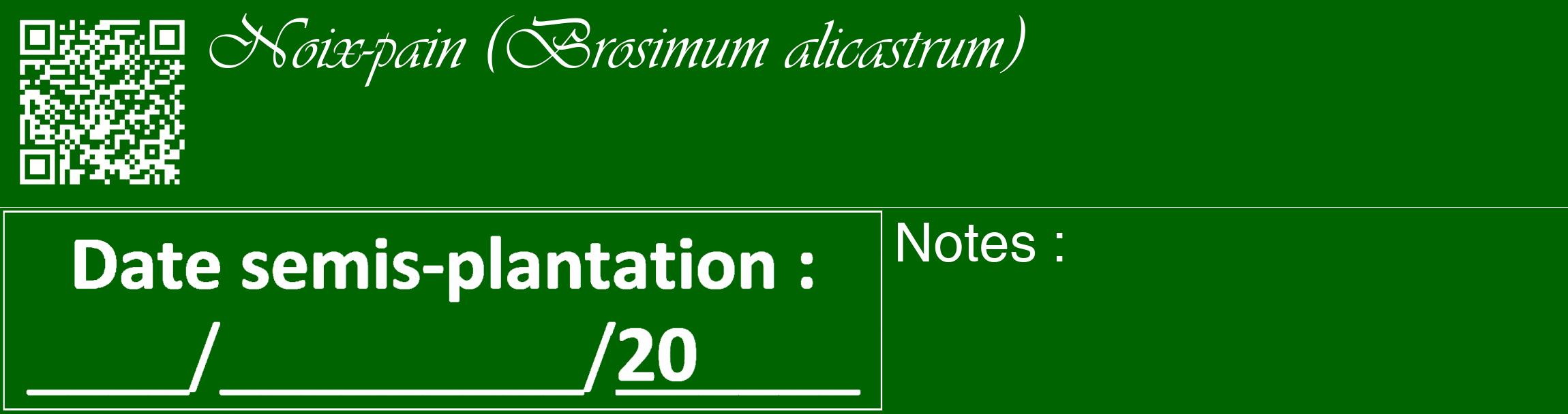 Étiquette de : Brosimum alicastrum - format c - style blanche8_basique_basiqueviv avec qrcode et comestibilité