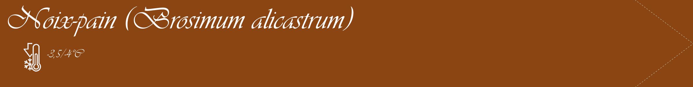 Étiquette de : Brosimum alicastrum - format c - style blanche30_simple_simpleviv avec comestibilité