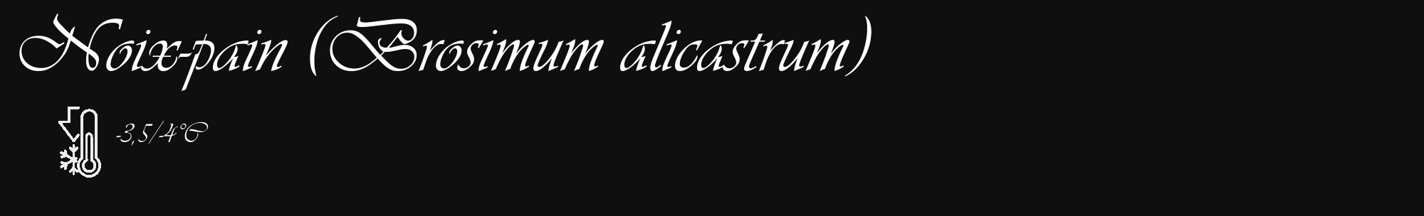 Étiquette de : Brosimum alicastrum - format c - style blanche7_basique_basiqueviv avec comestibilité