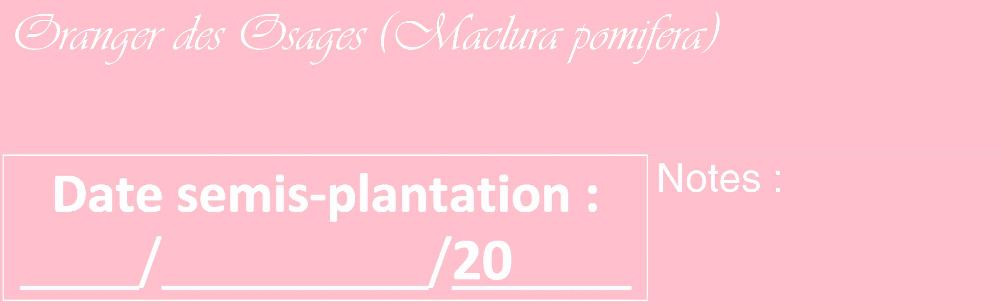 Étiquette de : Maclura pomifera - format c - style blanche40_basique_basiqueviv avec comestibilité