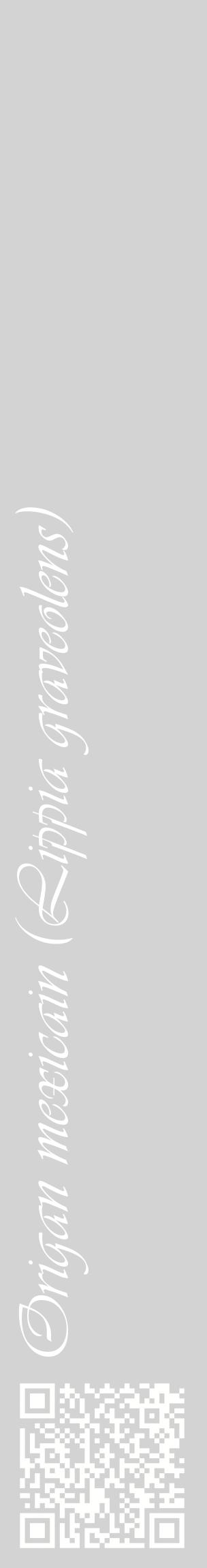 Étiquette de : Lippia graveolens - format c - style blanche56_basiqueviv avec qrcode et comestibilité