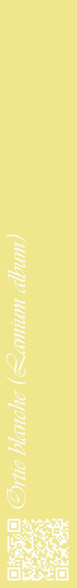 Étiquette de : Lamium album - format c - style blanche20_basiqueviv avec qrcode et comestibilité