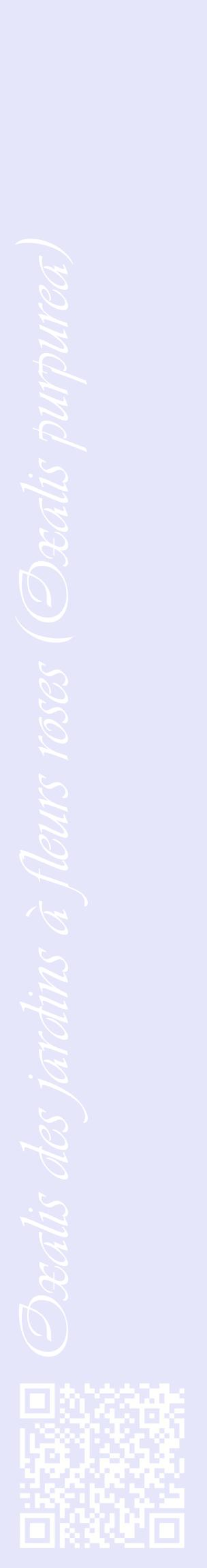 Étiquette de : Oxalis purpurea - format c - style blanche55_basiqueviv avec qrcode et comestibilité