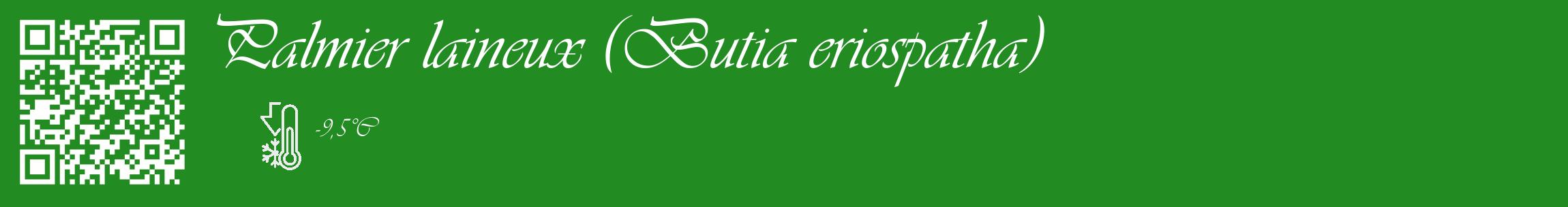 Étiquette de : Butia eriospatha - format c - style blanche10_basique_basiqueviv avec qrcode et comestibilité
