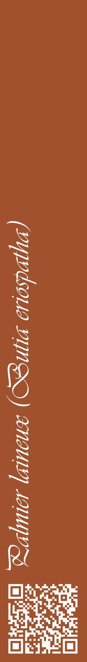 Étiquette de : Butia eriospatha - format c - style blanche32_basiqueviv avec qrcode et comestibilité