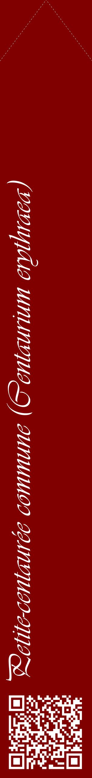 Étiquette de : Centaurium erythraea - format c - style blanche29_simpleviv avec qrcode et comestibilité