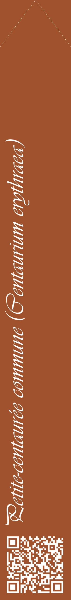 Étiquette de : Centaurium erythraea - format c - style blanche32_simpleviv avec qrcode et comestibilité