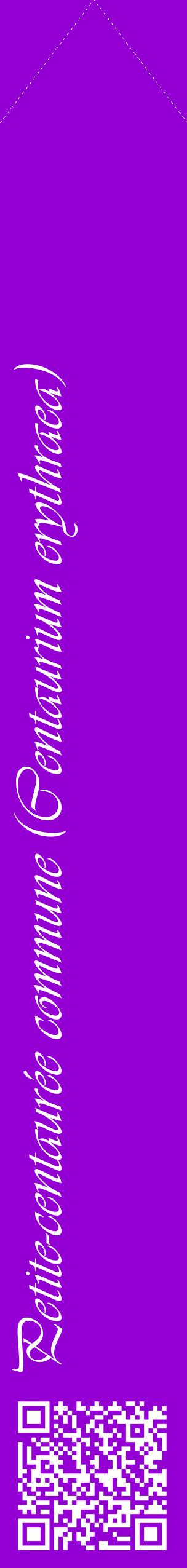Étiquette de : Centaurium erythraea - format c - style blanche48_simpleviv avec qrcode et comestibilité