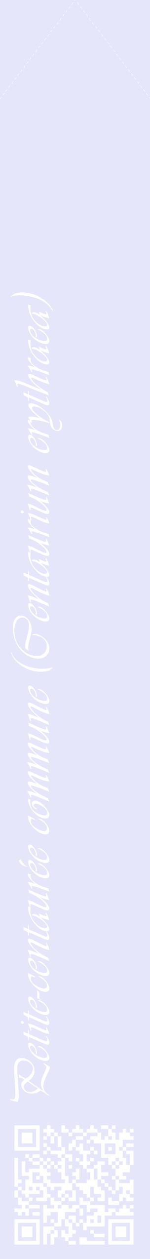 Étiquette de : Centaurium erythraea - format c - style blanche55_simpleviv avec qrcode et comestibilité