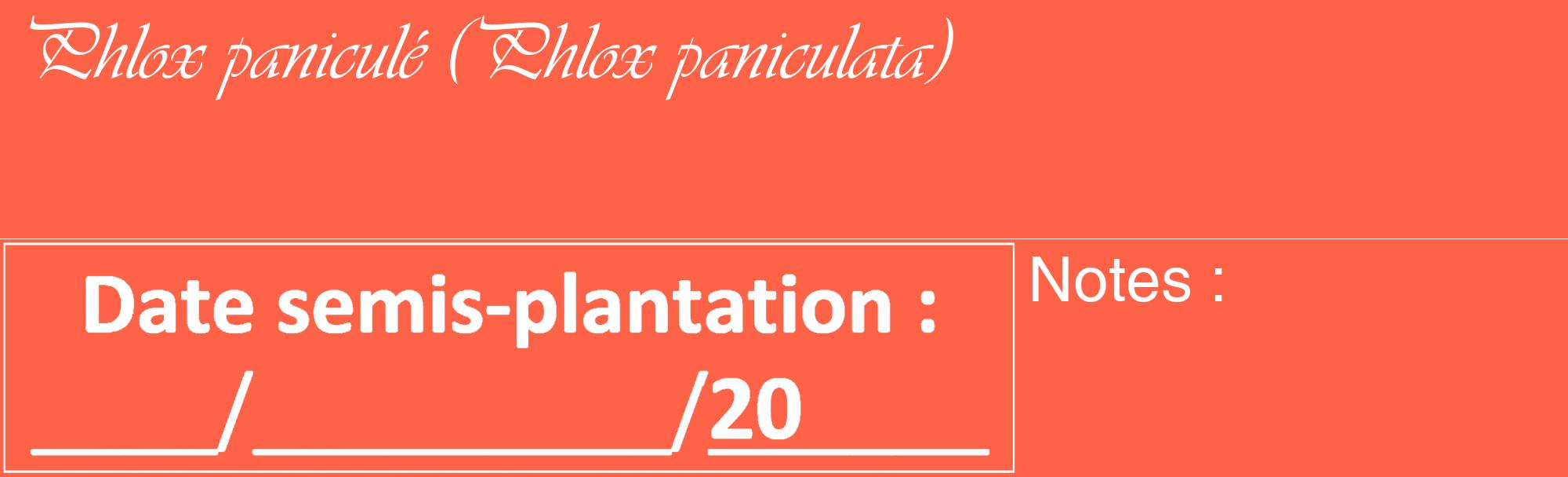 Étiquette de : Phlox paniculata - format c - style blanche25_basique_basiqueviv avec comestibilité