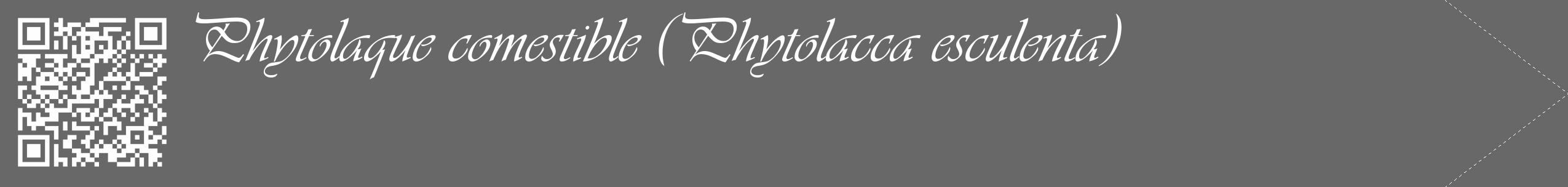 Étiquette de : Phytolacca esculenta - format c - style blanche43_simple_simpleviv avec qrcode et comestibilité