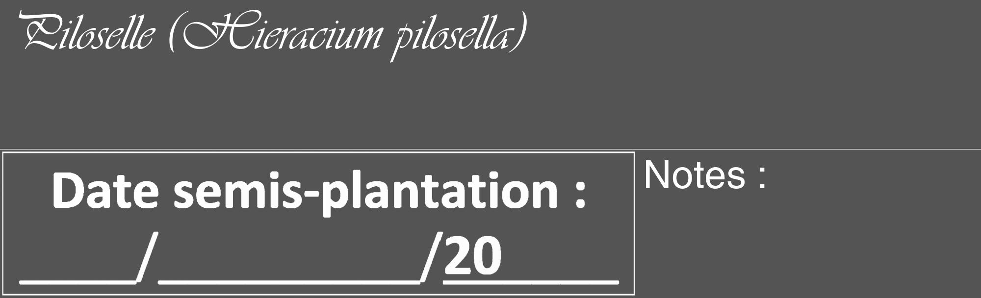 Étiquette de : Hieracium pilosella - format c - style blanche30_basique_basiqueviv avec comestibilité