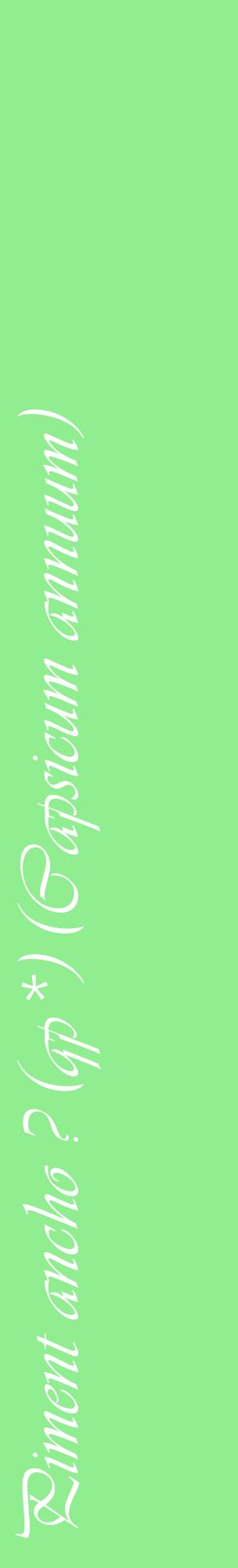 Étiquette de : Capsicum annuum - format c - style blanche15_basiqueviv avec comestibilité
