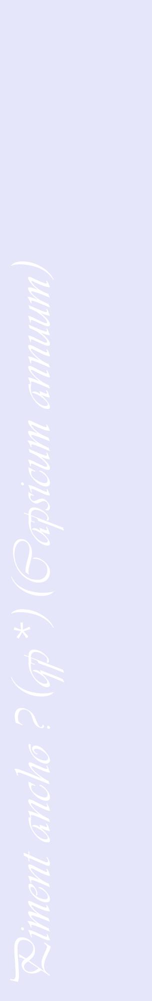Étiquette de : Capsicum annuum - format c - style blanche55_basiqueviv avec comestibilité