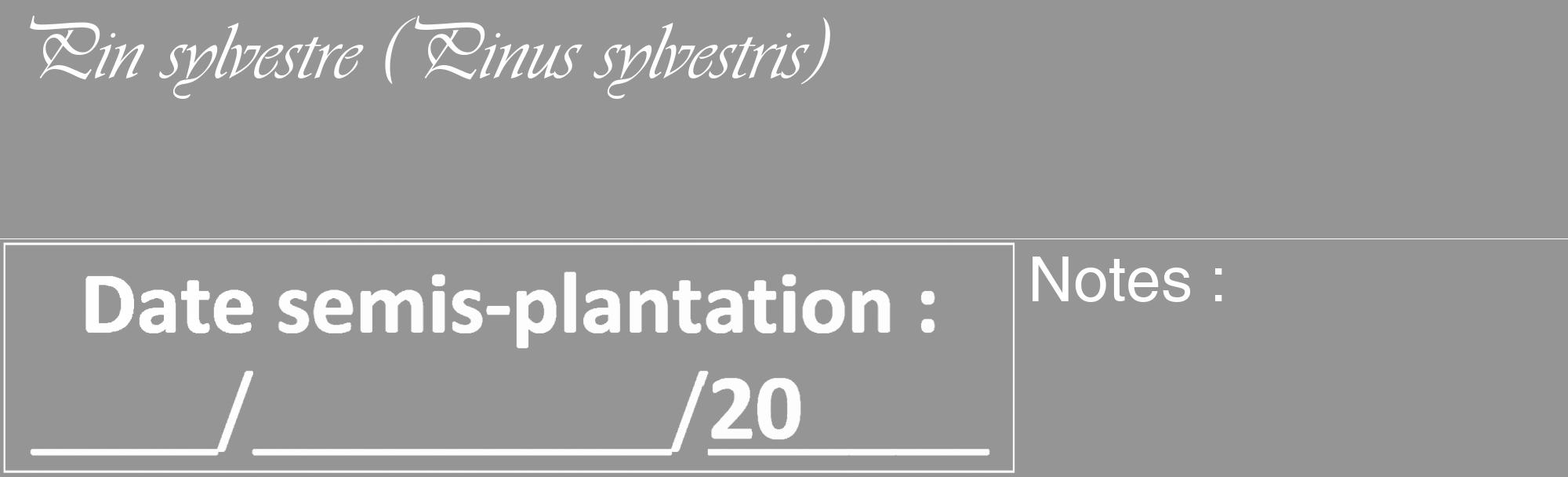 Étiquette de : Pinus sylvestris - format c - style blanche16_basique_basiqueviv avec comestibilité
