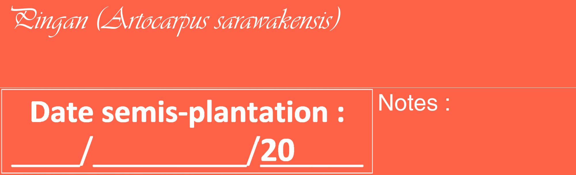 Étiquette de : Artocarpus sarawakensis - format c - style blanche25_basique_basiqueviv avec comestibilité