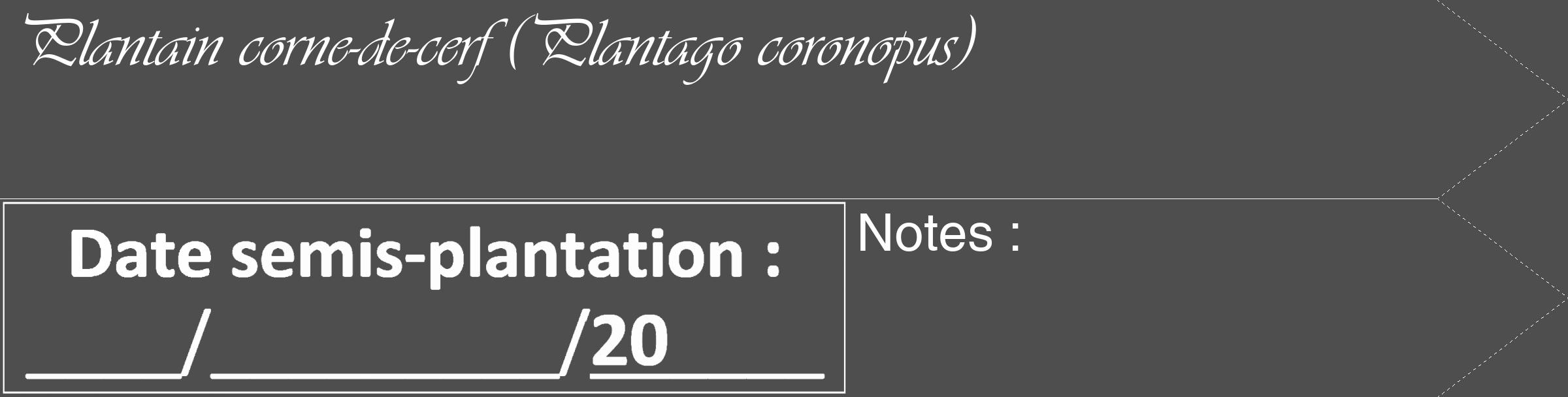 Étiquette de : Plantago coronopus - format c - style blanche33_simple_simpleviv avec comestibilité