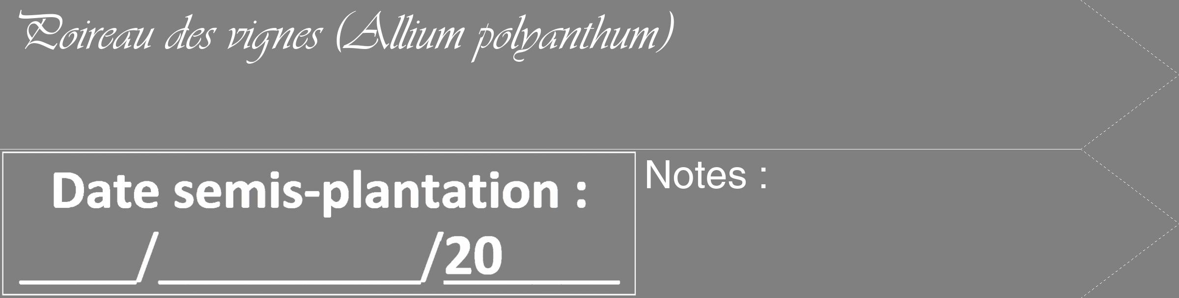 Étiquette de : Allium polyanthum - format c - style blanche57_simple_simpleviv avec comestibilité
