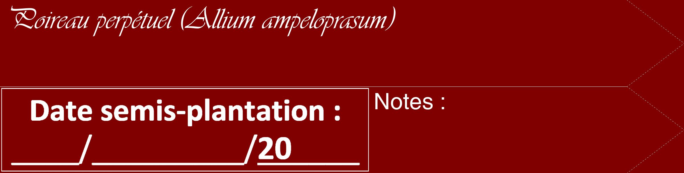 Étiquette de : Allium ampeloprasum - format c - style blanche29_simple_simpleviv avec comestibilité