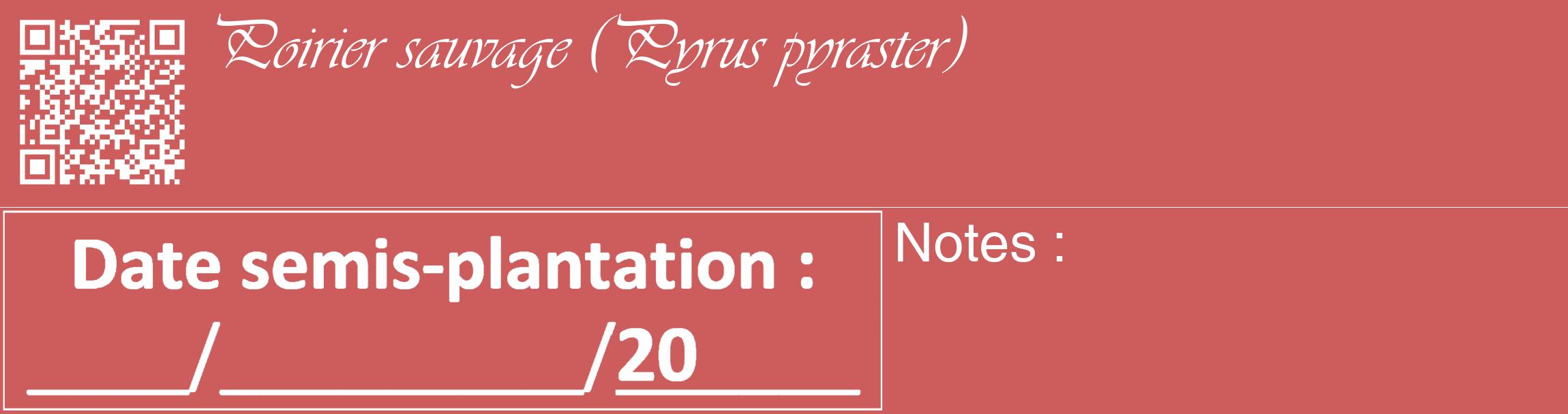Étiquette de : Pyrus pyraster - format c - style blanche35_basique_basiqueviv avec qrcode et comestibilité