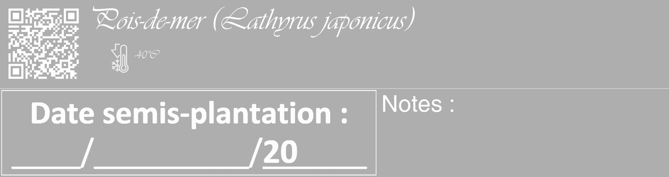 Étiquette de : Lathyrus japonicus - format c - style blanche53_basique_basiqueviv avec qrcode et comestibilité