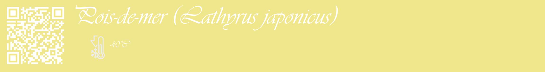 Étiquette de : Lathyrus japonicus - format c - style blanche20_basique_basiqueviv avec qrcode et comestibilité
