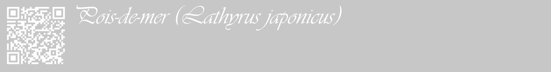 Étiquette de : Lathyrus japonicus - format c - style blanche15_basique_basiqueviv avec qrcode et comestibilité