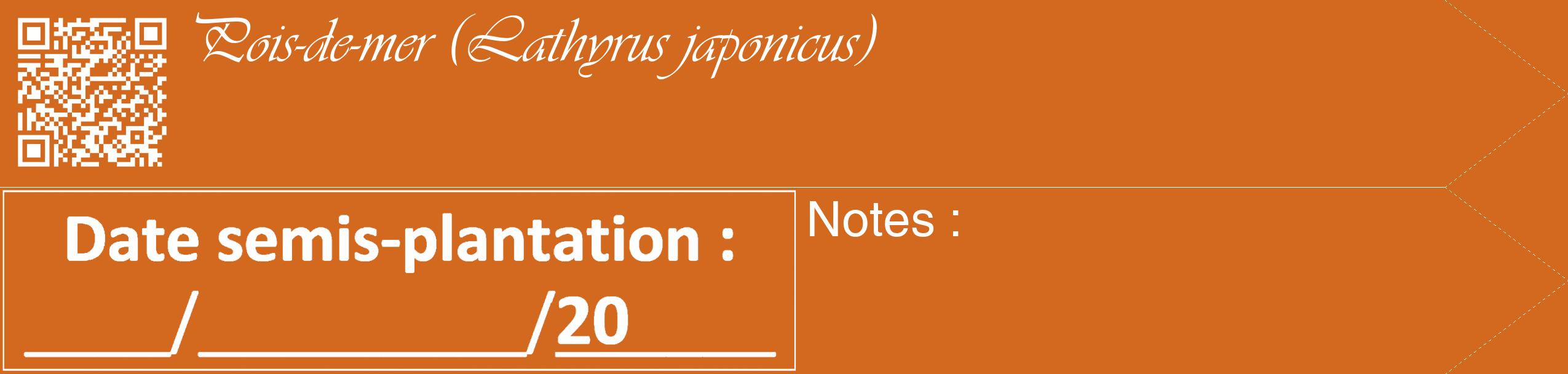 Étiquette de : Lathyrus japonicus - format c - style blanche31_simple_simpleviv avec qrcode et comestibilité