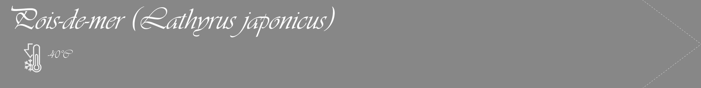 Étiquette de : Lathyrus japonicus - format c - style blanche12_simple_simpleviv avec comestibilité