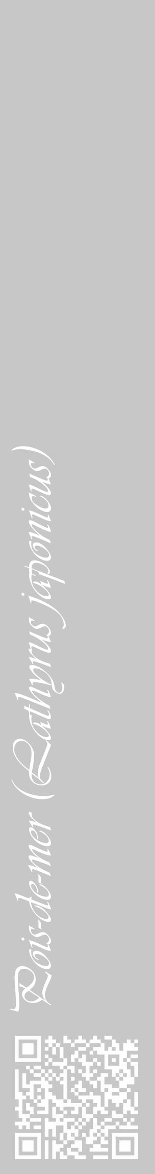 Étiquette de : Lathyrus japonicus - format c - style blanche15_basique_basiqueviv avec qrcode et comestibilité - position verticale