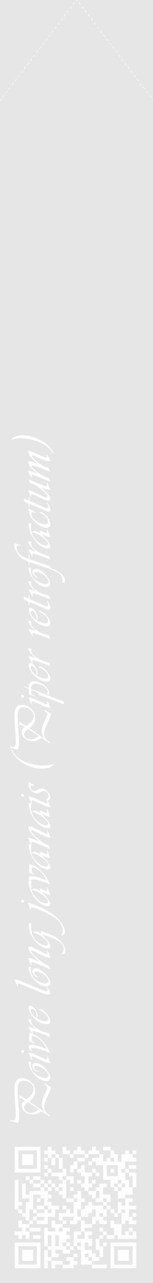 Étiquette de : Piper retrofractum - format c - style blanche18_simple_simpleviv avec qrcode et comestibilité - position verticale