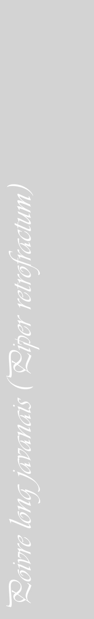 Étiquette de : Piper retrofractum - format c - style blanche56_basiqueviv avec comestibilité