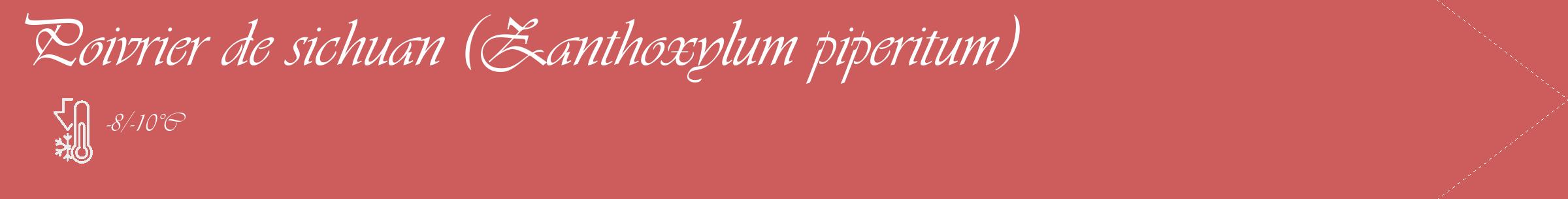 Étiquette de : Zanthoxylum piperitum - format c - style blanche35_simple_simpleviv avec comestibilité