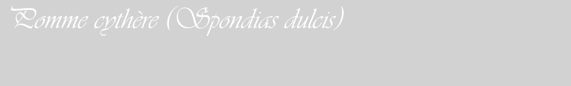 Étiquette de : Spondias dulcis - format c - style blanche14_basique_basiqueviv avec comestibilité