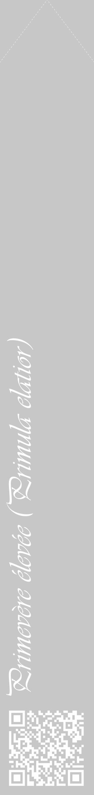 Étiquette de : Primula elatior - format c - style blanche15_simple_simpleviv avec qrcode et comestibilité - position verticale