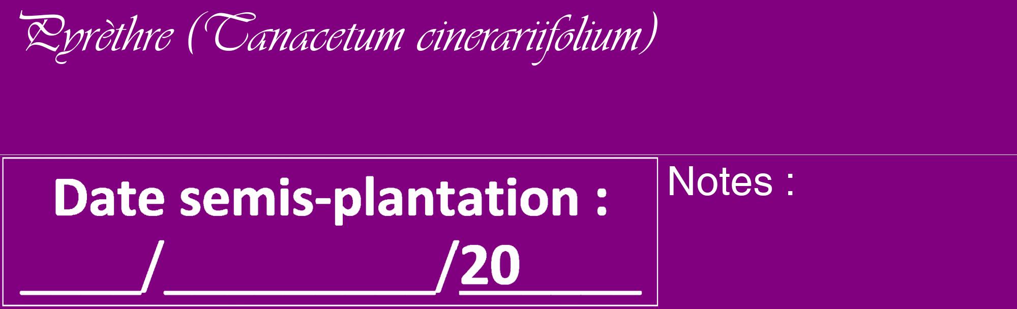 Étiquette de : Tanacetum cinerariifolium - format c - style blanche46_basique_basiqueviv avec comestibilité