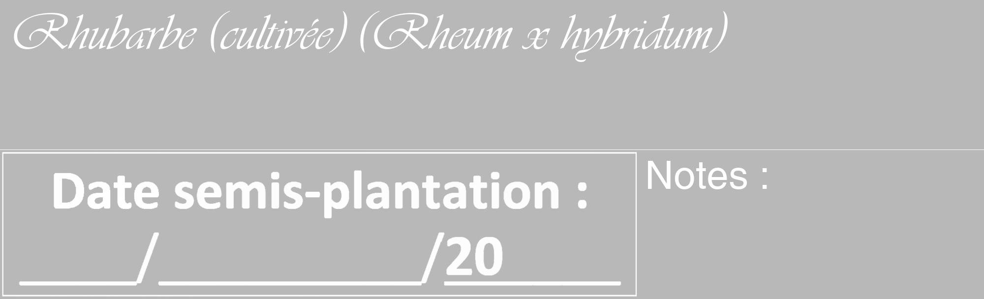 Étiquette de : Rheum x hybridum - format c - style blanche39_basique_basiqueviv avec comestibilité