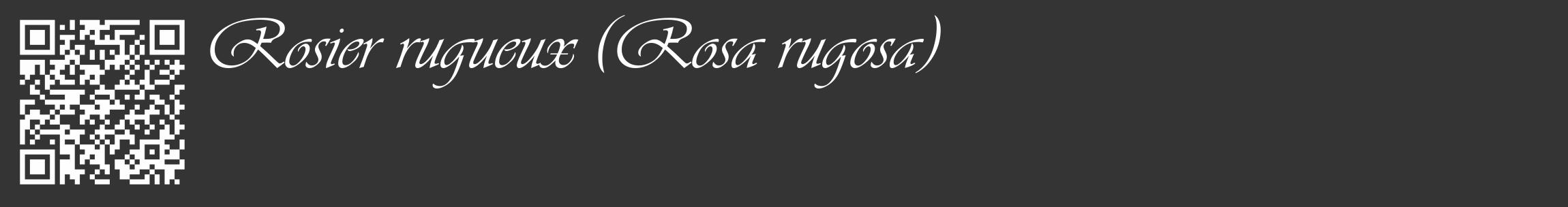 Étiquette de : Rosa rugosa - format c - style blanche46_basique_basiqueviv avec qrcode et comestibilité