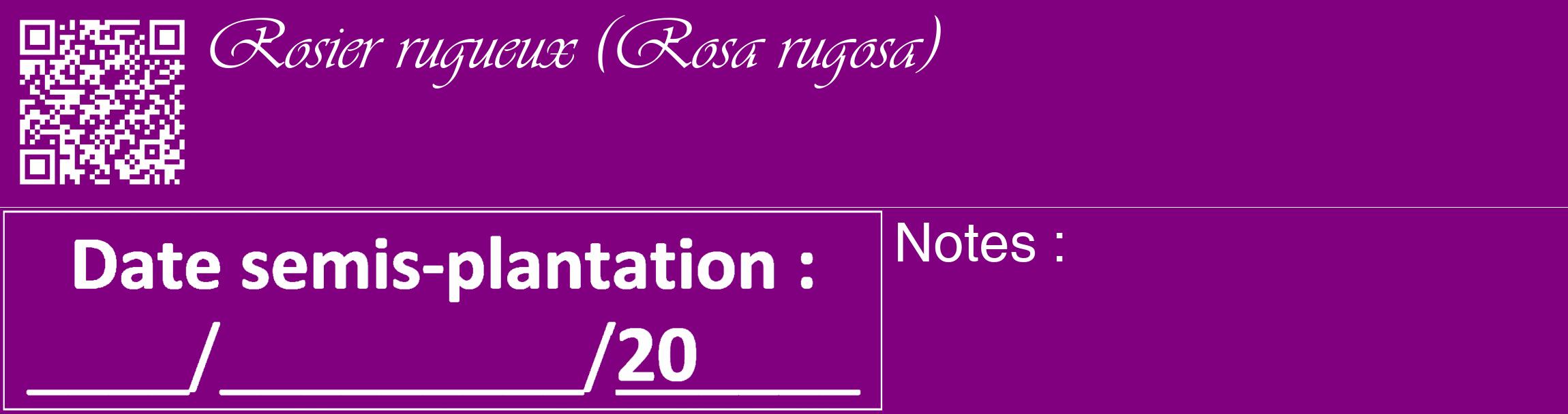 Étiquette de : Rosa rugosa - format c - style blanche46_basique_basiqueviv avec qrcode et comestibilité