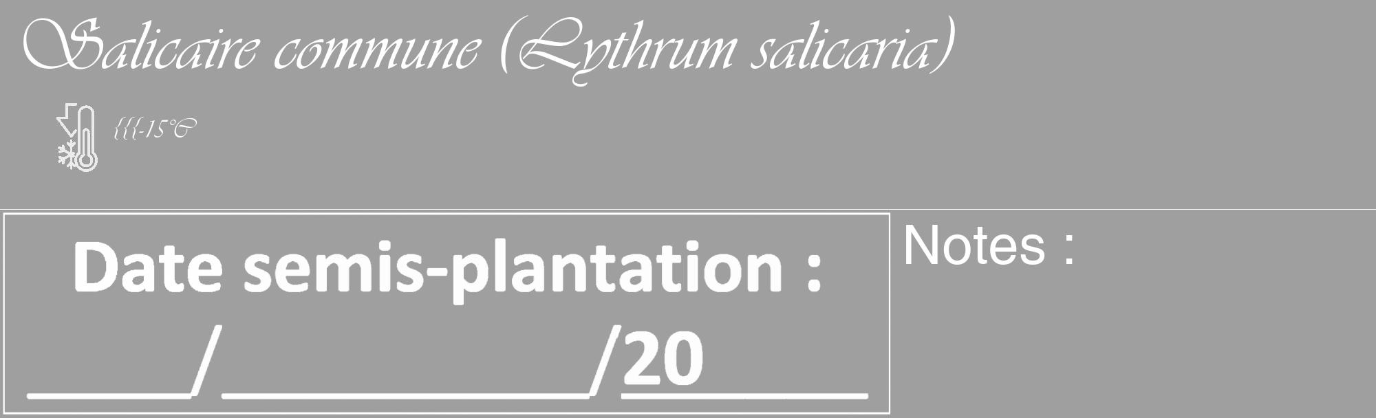 Étiquette de : Lythrum salicaria - format c - style blanche24_basique_basiqueviv avec comestibilité